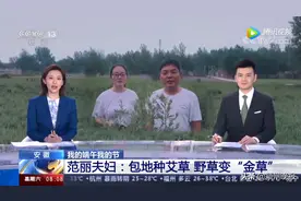 5分10秒！今天阜阳又上央视了！看看啥情况？图片