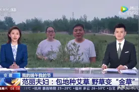 5分10秒！今天阜阳又上央视了！看看啥情况？图片