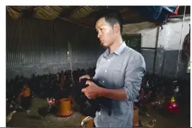 岳阳一农户网购近6万只鸡苗，结果大半是公鸡，损失超20万图片