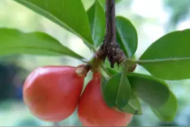 跑步与挣钱图片