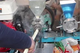 村里卖膨化糖，机器7000，一天收入五六百，排队买这生意可以！视频封面