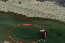 青海湖水怪的真面目仍然是人们心中的一个巨大谜团图片