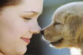 养狗这么多年，狗狗做6点要表达什么？不懂真的白养狗了图片