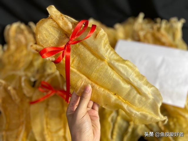 北海鱼胶有什么功效 2026年北海鱼胶有什么功效和作用