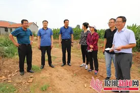 临沂市32处中央环保督察反馈意见废弃矿山治理项目通过省复核验收图片