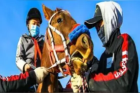 对！你没看错，新疆学生就是骑马上课图片