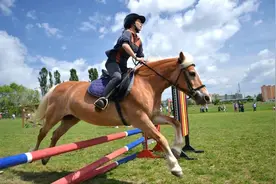 上山下海骑马射箭！这些竟然都是德国大学的体育课？图片