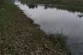 不忘的昔日岁月，纯真的姐弟之情图片