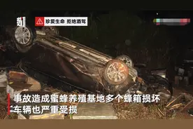 男子醉驾过弯道摔进蜜蜂窝 被蜂群围攻多处被蜇画面恐怖图片