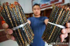 河南沈丘有位“蜈蚣王”将蜈蚣养殖致富道路越走越宽图片
