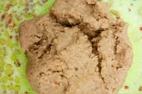 自制鱼饲料的加工方法，不同饲料的加工方法介绍图片