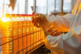 哈萨克斯坦国产植物油能占领市场吗？图片