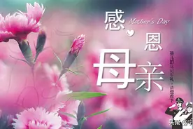 孩儿的这记军礼，请您收下！图片