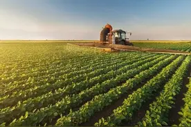 打过除草剂的喷雾器如何清洗？这几招，轻松解决图片