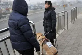 女子带导盲犬乘车被女乘客嫌脏，司机霸气做一事，大家都拍手称赞图片