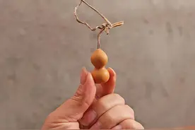 古玩圈惊现天价葫芦，就因为它的个子小吗？图片