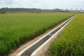 5月起，一项新政将出台，涉及农民土地，农民面临两大现实问题图片