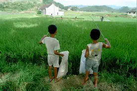 时间都去哪啦？为什么我们一晃就老了？图片