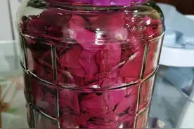 云南人都喜欢喝的玫瑰花醋，令人回味无穷，来看看是怎么制作的？图片