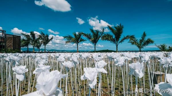 菲律宾｜逃离冷冷的冬天飞去热带的岛屿享受阳光与海滩