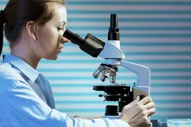 在药厂工作时的一段孽缘图片