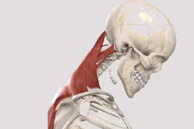 骨科医生：你吃饭时的这个动作，正慢慢改变颜值和颈椎图片