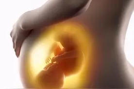 胎动与男孩女孩有关？图片