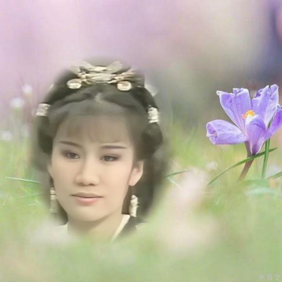 金剑雕翎：卧龙生武侠代表作，篇幅长剧情强，2次被搬上荧屏