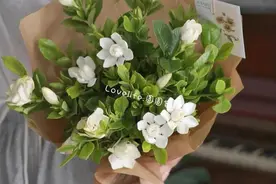 “从此以后”是结束也是开始图片