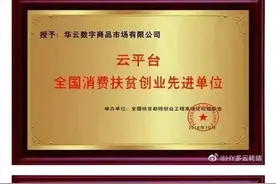 华云数字首次提出“消费扶贫”评为“全国消费扶贫创业先进单位”图片