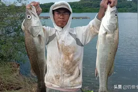 湛江职业“海钓”人，以出海钓鱼为生，最高一天赚了七八千图片