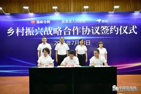 为了宣恩的乡村振兴，国能E购来了，京东来了......图片