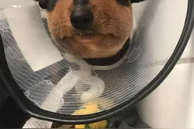 每日段子：练翘臀独家秘方，哈哈哈图片