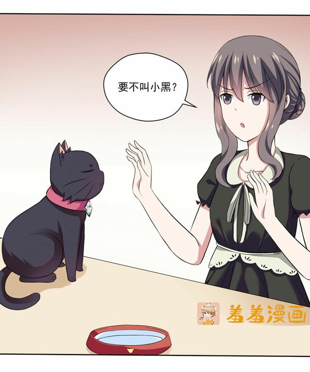 夜路走多了，竟捡到宝，带着巨钻的小黑猫一只