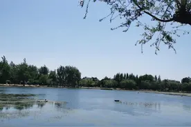 忘不了，我的母校图片