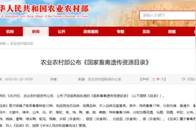 家里不能养狗了？《国家畜禽遗传资源目录》首次明确了家养畜禽种类33种，狗和蛙类等最终未列入《目录》图片