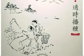 道地中药材 | 光土水气种三七图片