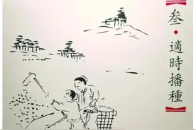 道地中药材 | 光土水气种三七图片