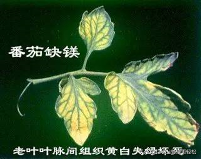 鐣寗缂洪挋鍙戠敓鑴愯厫鐥咃紝缂洪晛鑰佸彾鍙橀粍鍖栵紝闃茶寖鎻愬墠锛岄伩鍏嶅嵄瀹炽€? onerror=