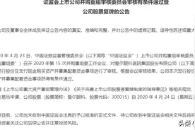 爱尔眼科18.7亿元重组获有条件通过 并购重组委：预测标的营收合理性是什么？图片