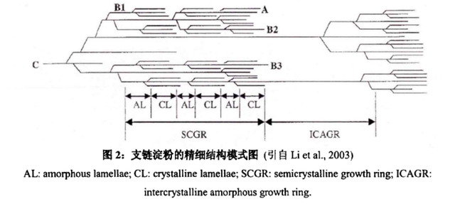 米饭脱糖概念真的全是伪科学？——还得看实际产品