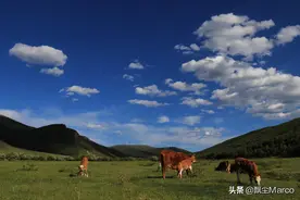 丰宁｜京北第一天路，最适合自驾的避暑胜地图片