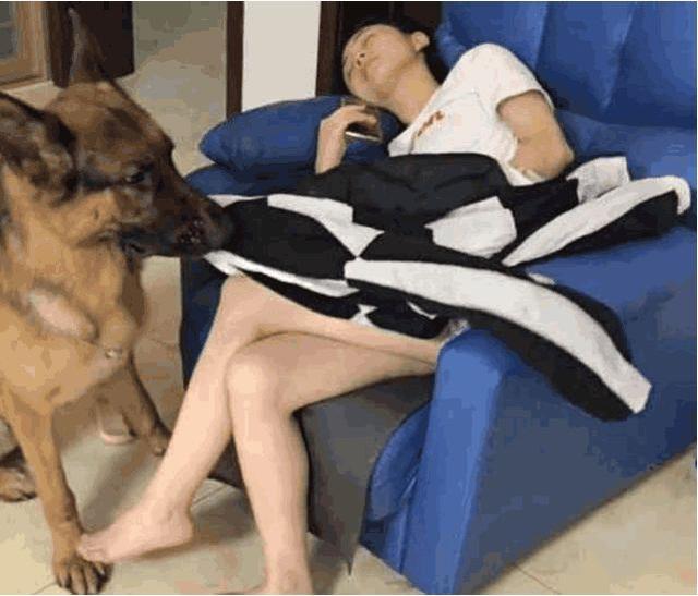 桢ǳ5ֹ˴ûڹ
