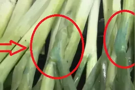 全面下架！上海菜场里的蓝色小葱，喷洒的可能是这种溶液！有害吗？专家这样说图片