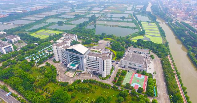 “广东四小虎”的概述