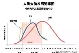 哈佛大学研究：宝宝语言发展高峰期在这个月，用这5招让娃早说话图片