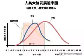 哈佛大学研究：宝宝语言发展高峰期在这个月，用这5招让娃早说话图片
