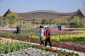 北京市内组团游重启，户外定制小团更受欢迎图片
