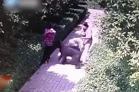 “狂”的代价图片