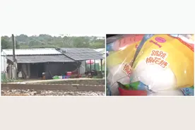 黑作坊里加工生产孩子们最爱吃的棉花糖，老板一句话令人愤怒视频封面